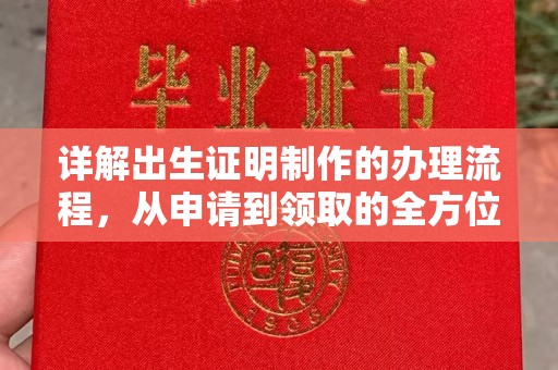鄢陵详解出生证明制作的办理流程，从申请到领取的全方位指南