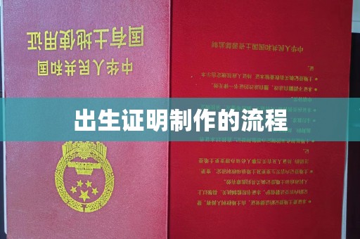 鄢陵出生证明制作的流程